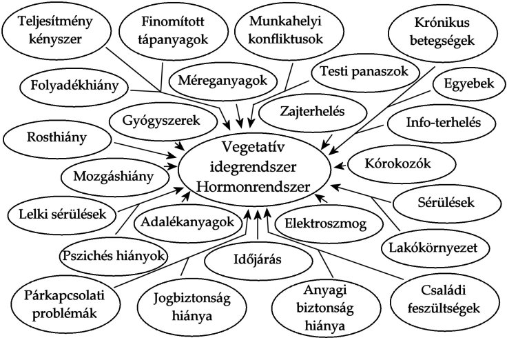 Stresszorok - könyv